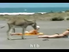 Femme vidéo porno amateur se déshabillant doucement